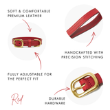 Crimson Red Leather Dog Collar with Gold Buckle