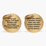 Gold-Tone Brass Personalised Pet Tag with Custom Engraved Contact Info The Stately Hound