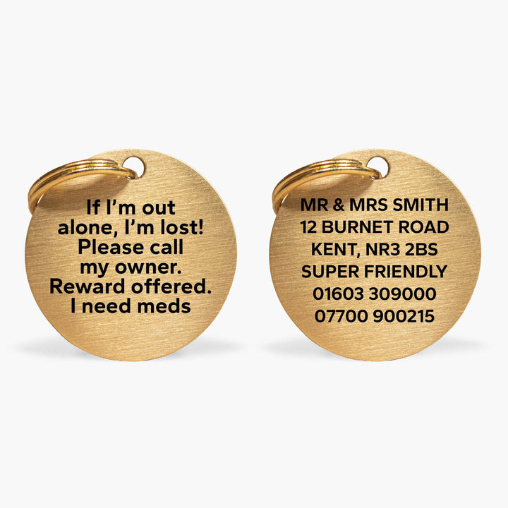 Gold-Tone Brass Personalised Pet Tag with Custom Engraved Contact Info