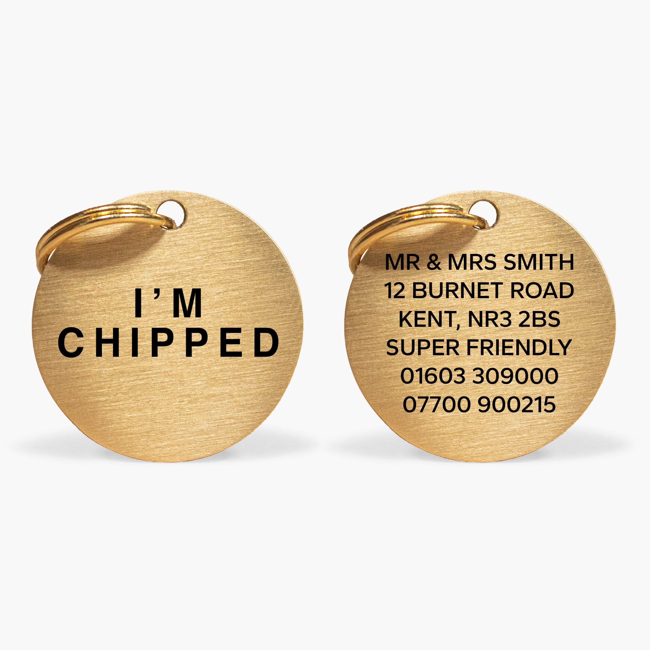 Gold-Tone Brass Dog Collar Tag with Engraved "I'm Chipped" and Custom Contact Details The Stately Hound