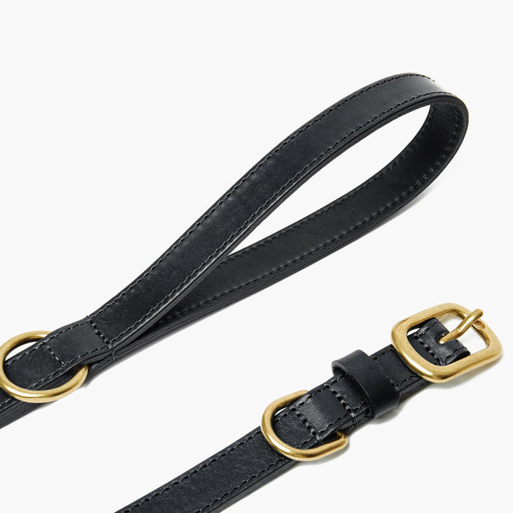 Midnight Black Leather Dog Collar with Gold Buckle The Stately Hound