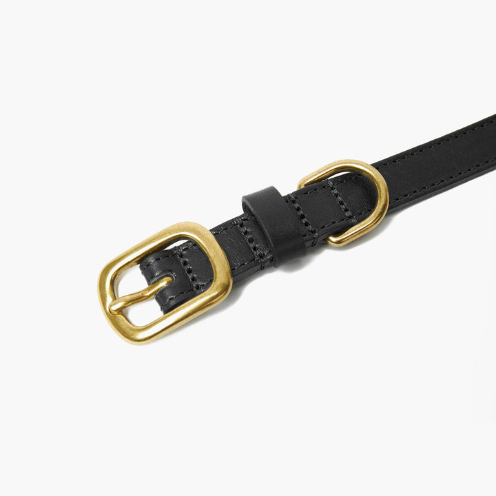 Midnight Black Leather Dog Collar with Gold Buckle The Stately Hound