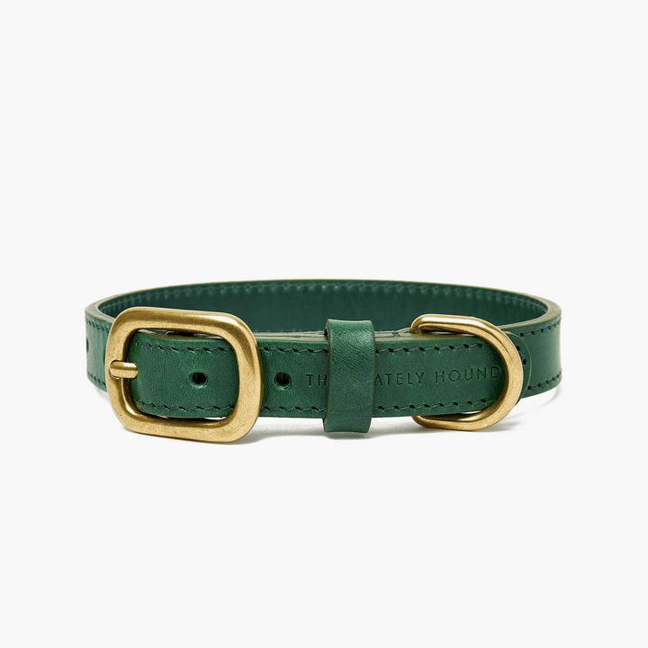 Emerald Green Leather Dog Collar with Gold Buckle