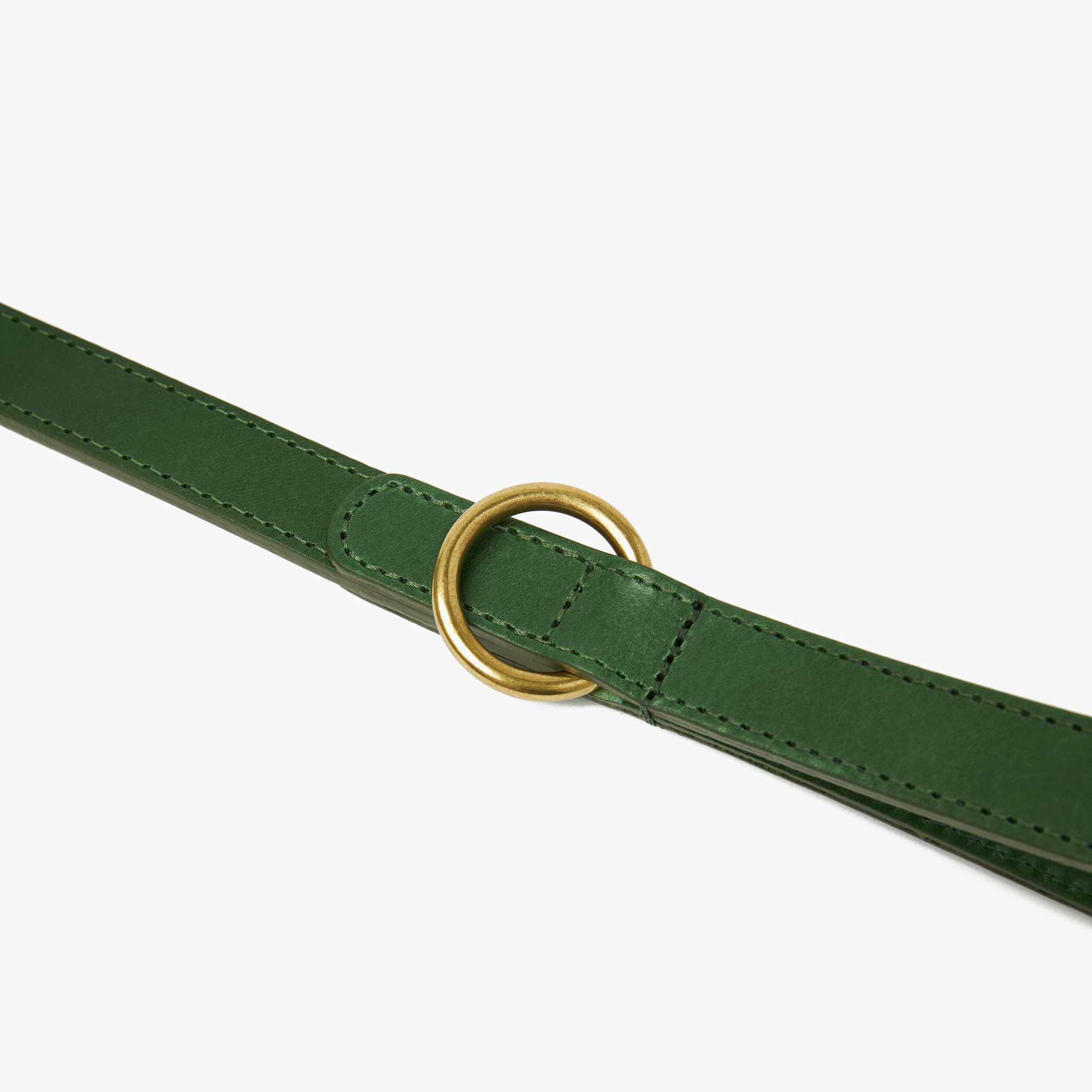 Emerald Green Leather Dog Lead with Gold Hardware The Stately Hound