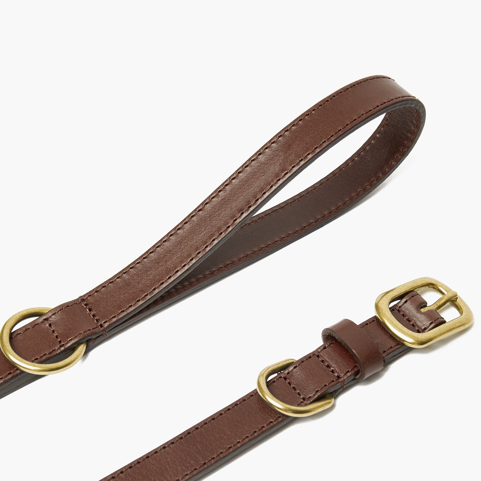 Chocolate Brown Leather Dog Collar with Gold Buckle The Stately Hound