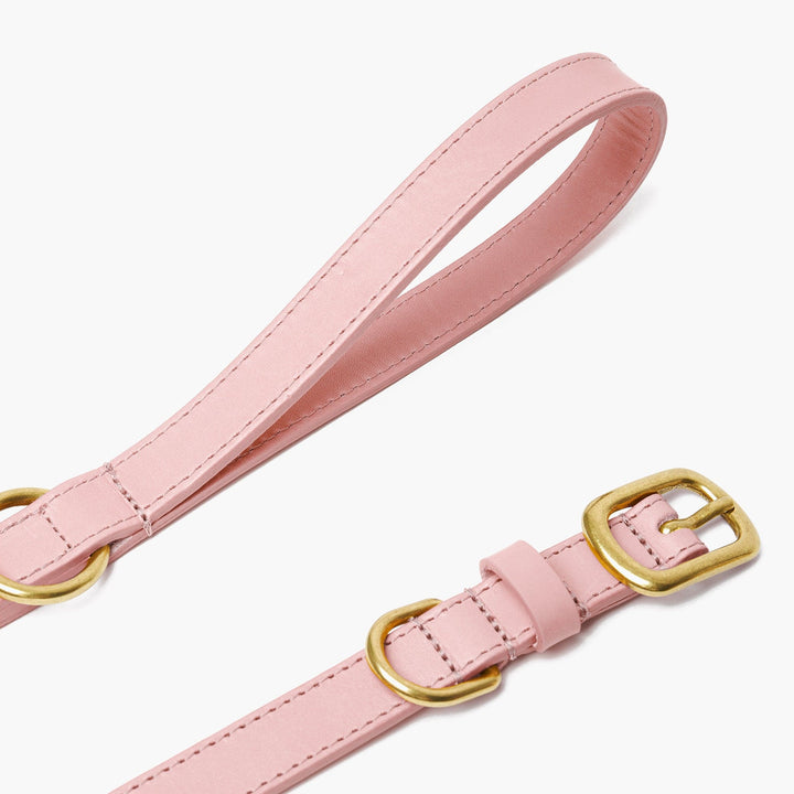 Baby Pink Leather Dog Collar & Lead Set with Gold Hardware