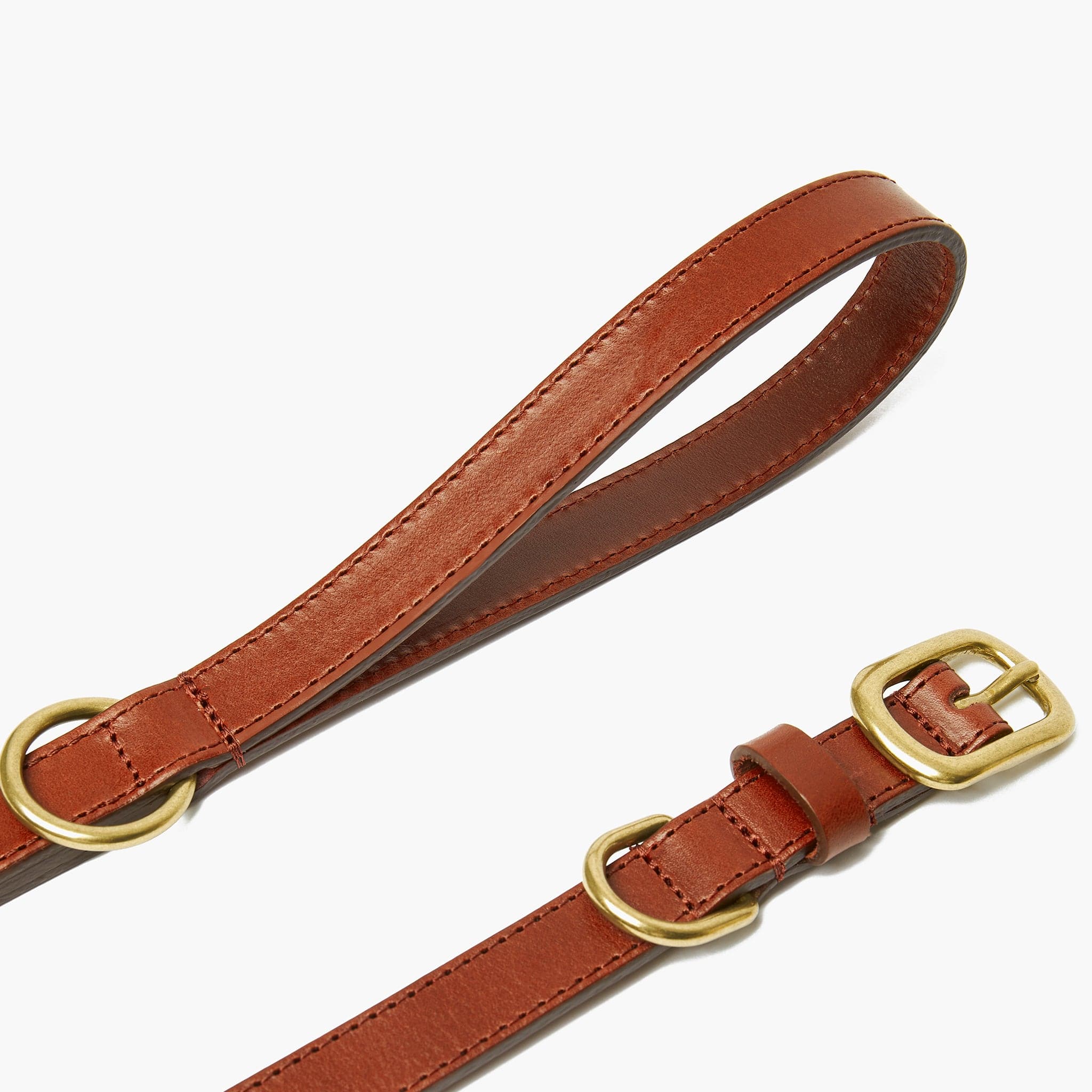 Autumn Maple Brown Leather Dog Collar with Gold Buckle The Stately Hound