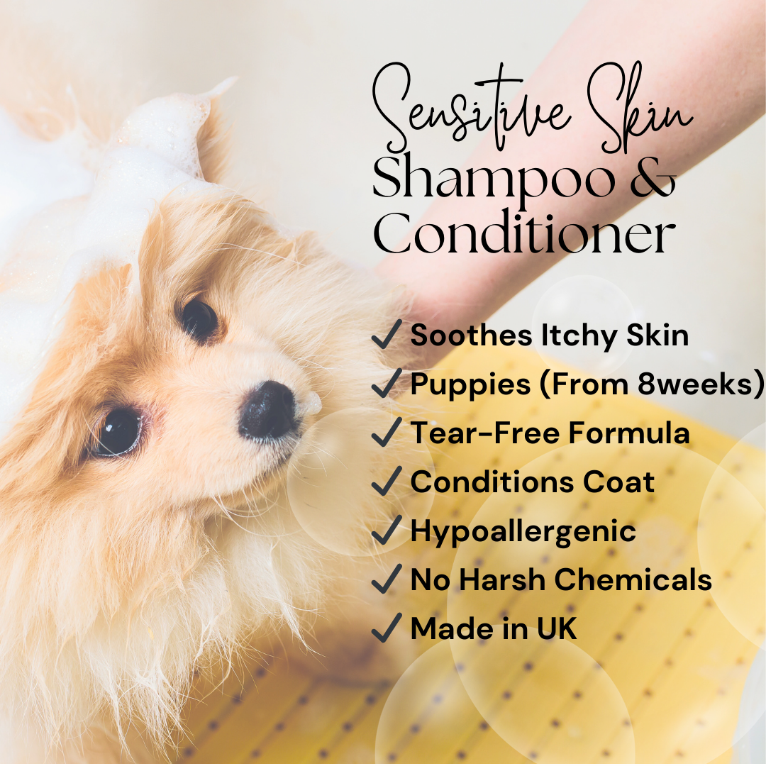 Hypoallergenic Aloe Vera Dog Shampoo | Gentle, Soothing, and Perfect for Sensitive Skin