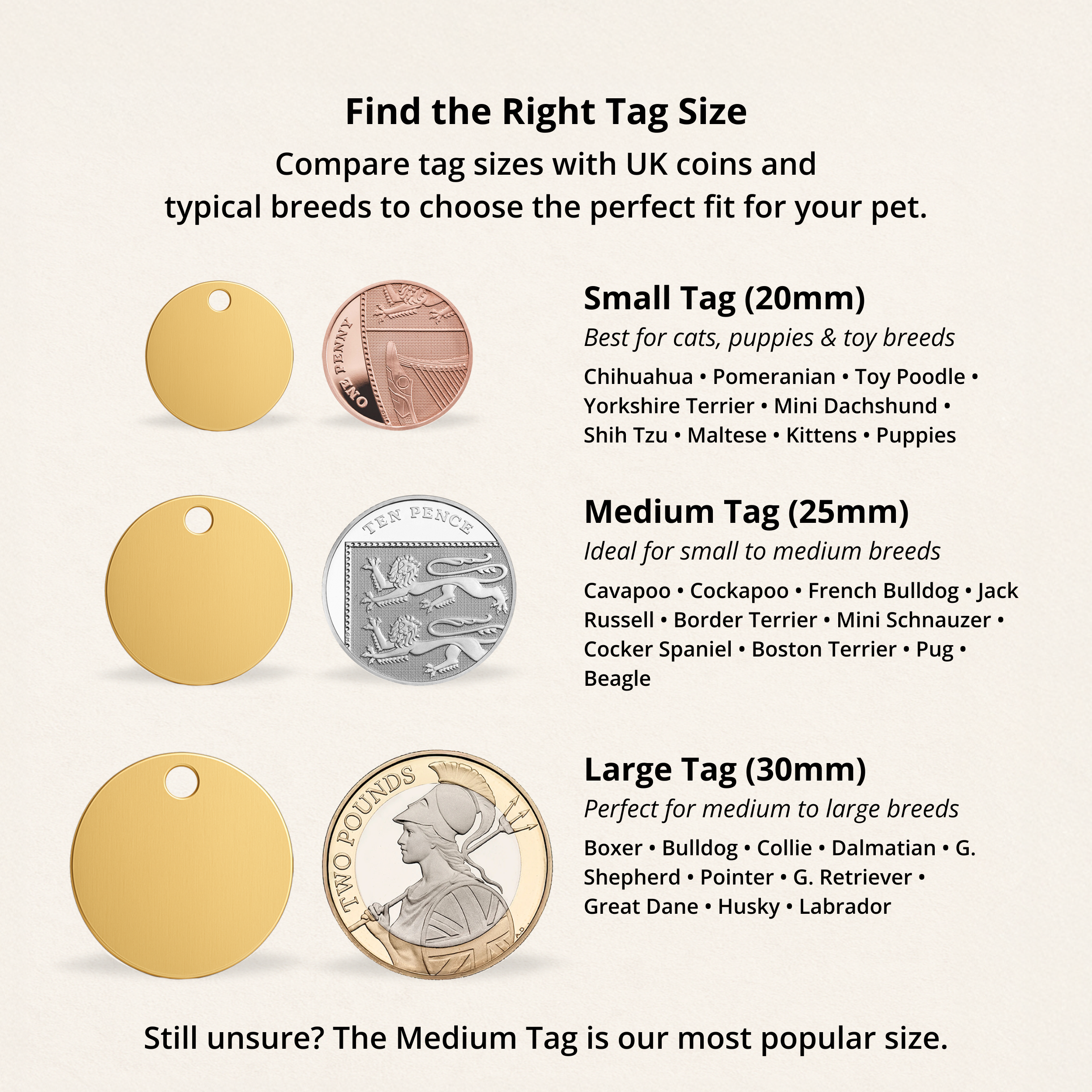 Personalised Gold ID Dog Name Tag Engraved in Brass