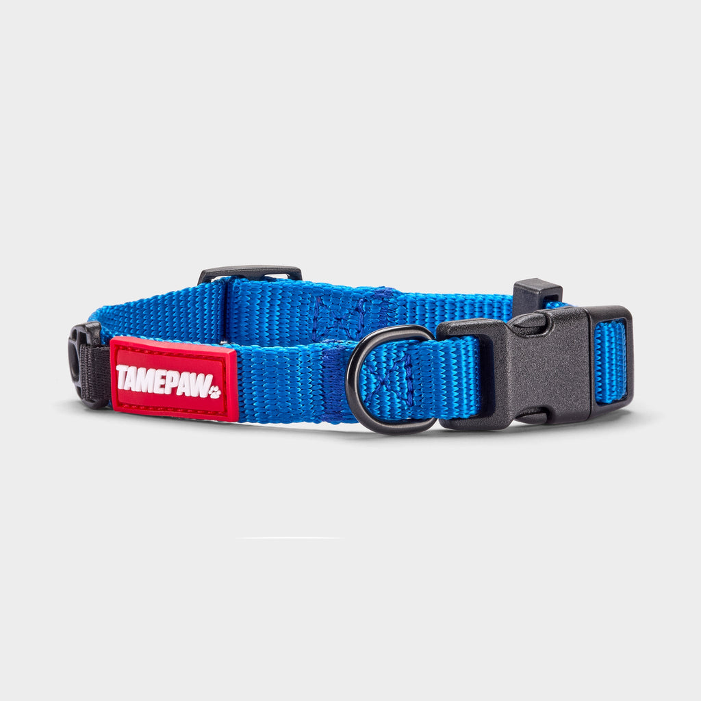Airform Dog Collar - Blue Edition 001