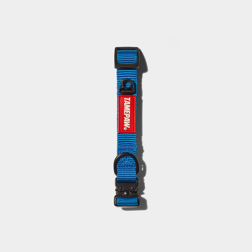 Airform Dog Collar - Blue Edition 001