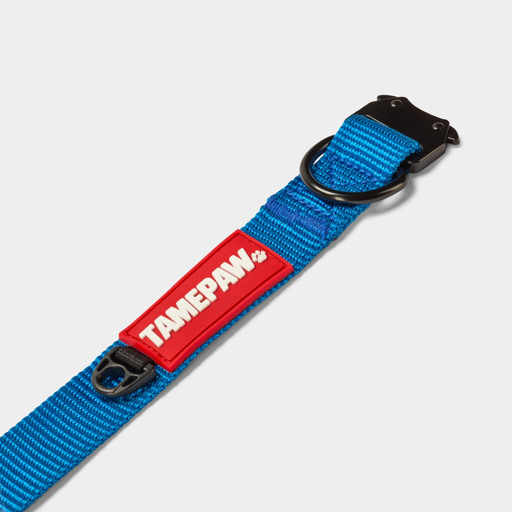 Airform Dog Collar - Blue Edition 001