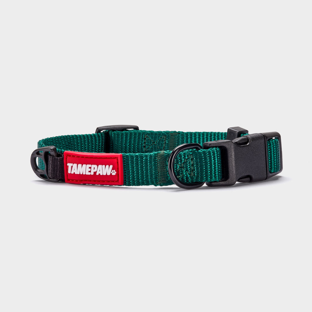 Airform Dog Collar - Green Edition 001