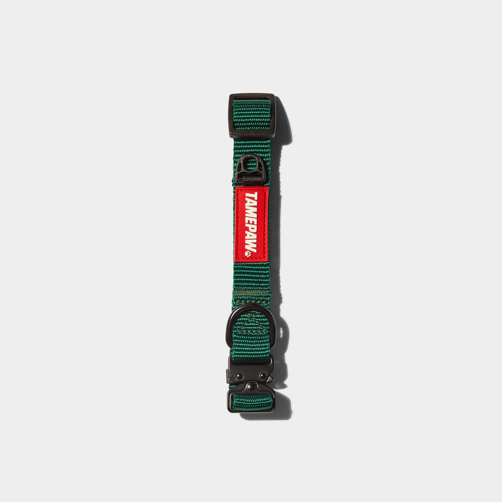Airform Dog Collar - Green Edition 001