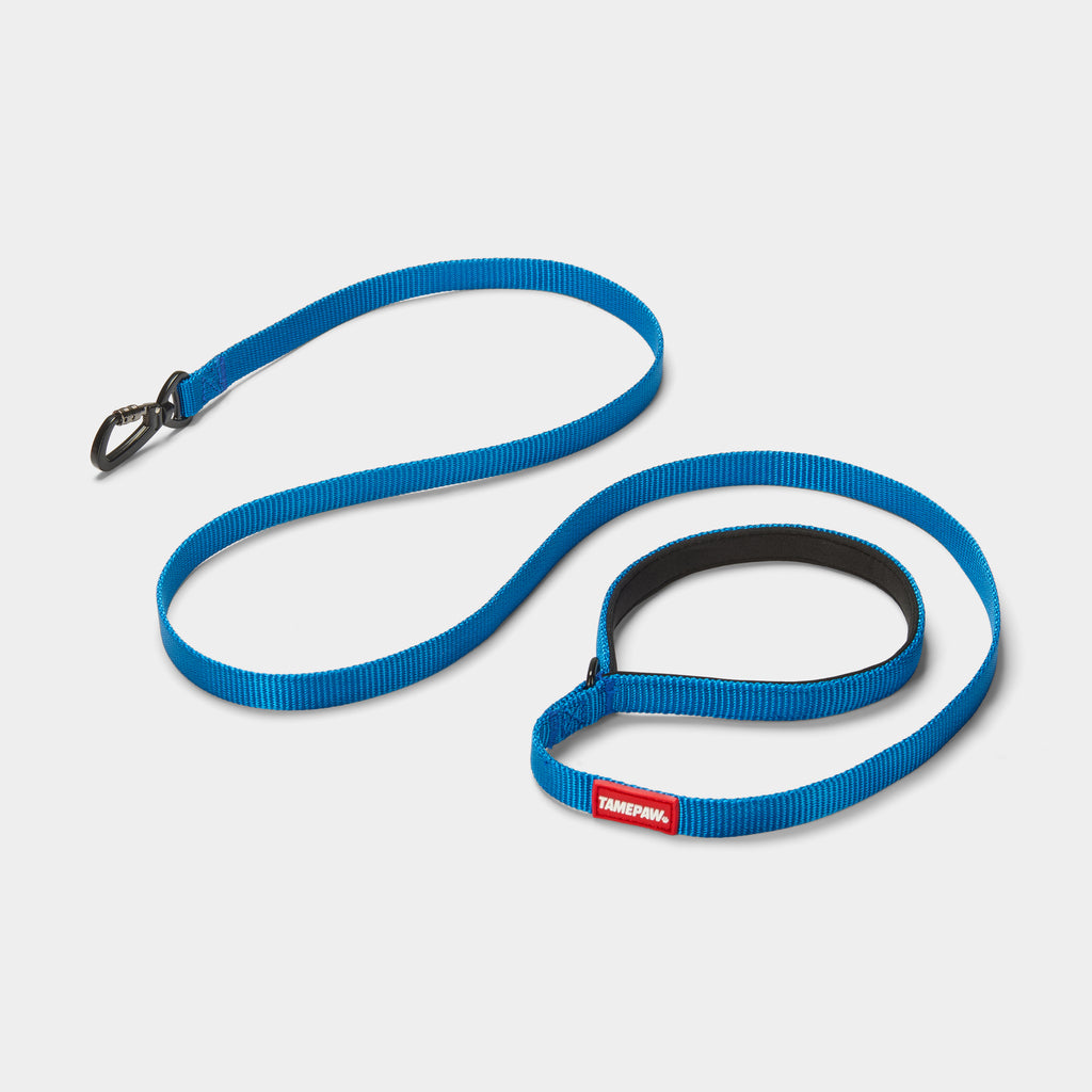 Airform Dog Lead - Blue Edition 001