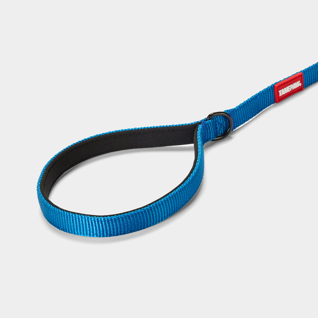 Airform Dog Lead - Blue Edition 001