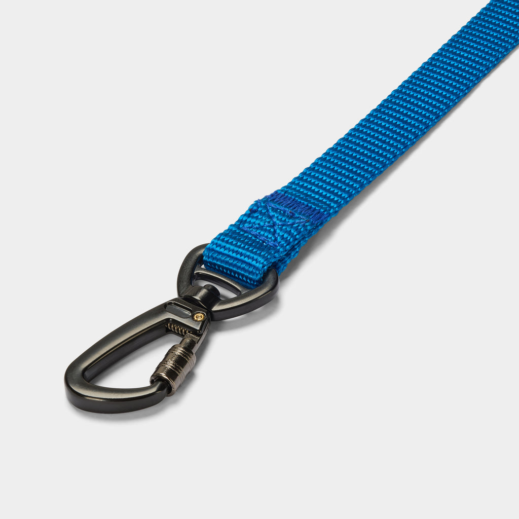 Airform Dog Lead - Blue Edition 001
