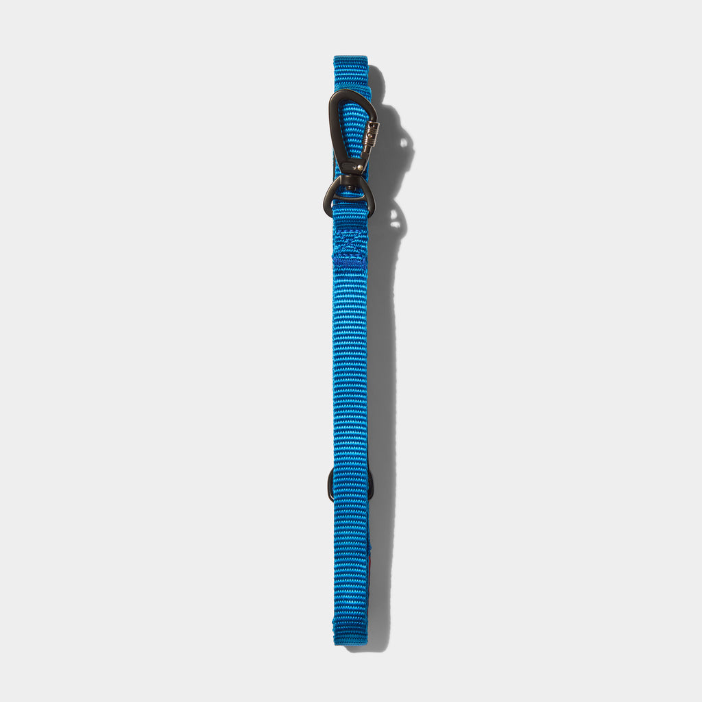 Airform Dog Lead - Blue Edition 001