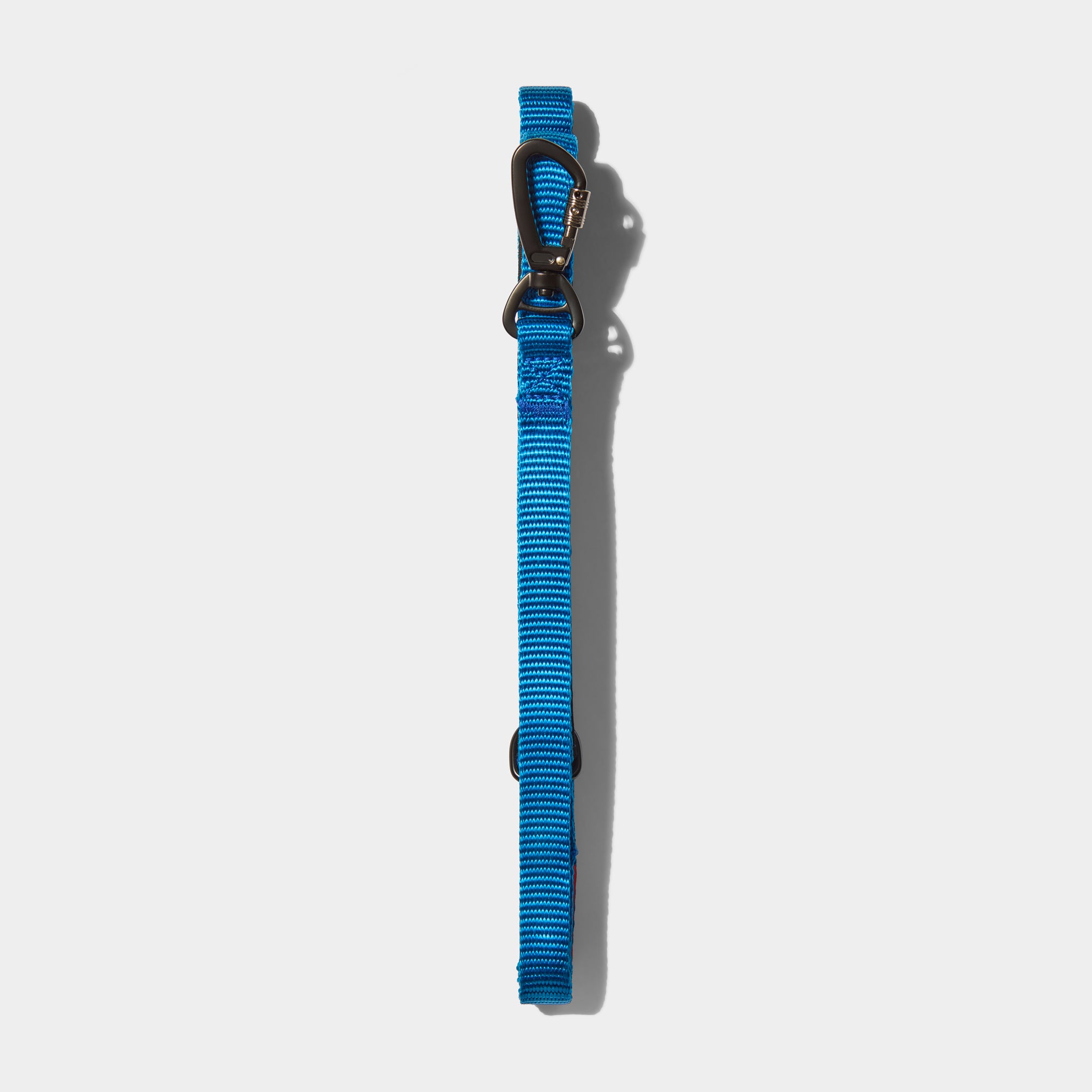Airform Dog Lead - Blue Edition 001