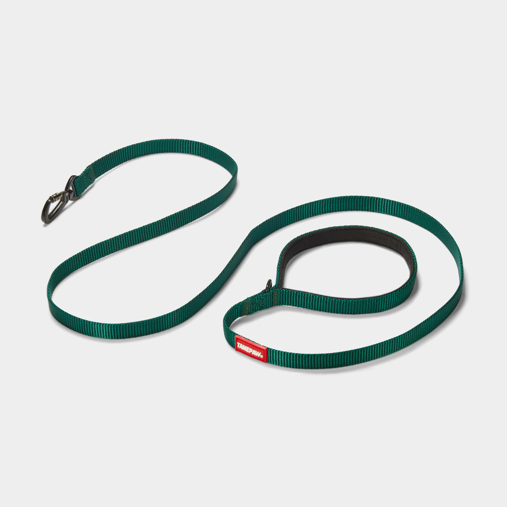 Airform Dog Lead - Green Edition 001