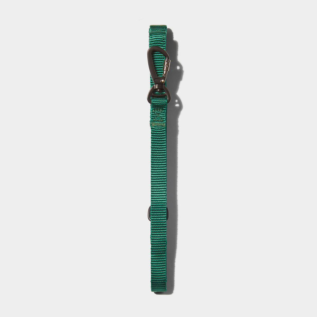 Airform Dog Lead - Green Edition 001