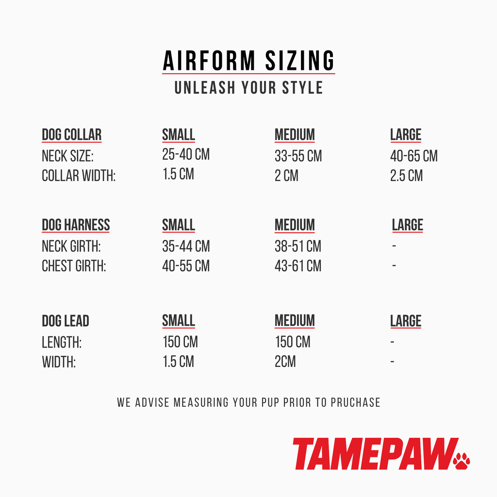 Airform Dog Collar - Green Edition 001