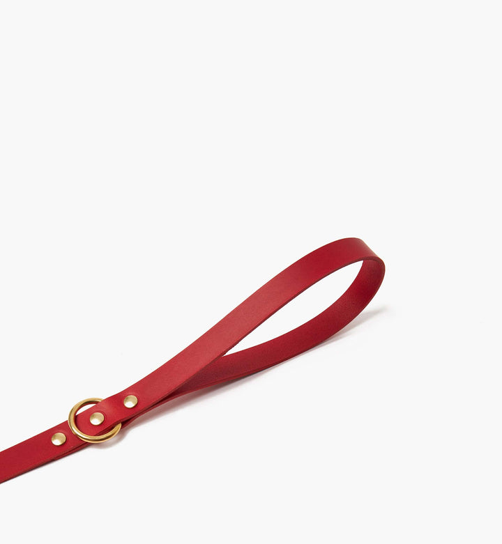 Brass Riveted Leather Dog Lead in Pillarbox Red