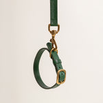 Emerald Green Leather Dog Collar with Gold Buckle The Stately Hound