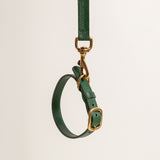 Emerald Green Leather Dog Collar with Gold Buckle The Stately Hound