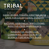 Tribal Rewards for Dogs – Coconut, Banana & Peanut Butter Treats 125g