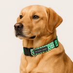Geometric Print Dog Collar & Lead Set in Green & White The Stately Hound