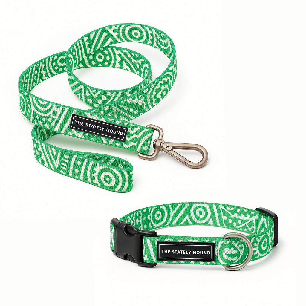 Geometric Print Dog Collar & Lead Set in Green & White