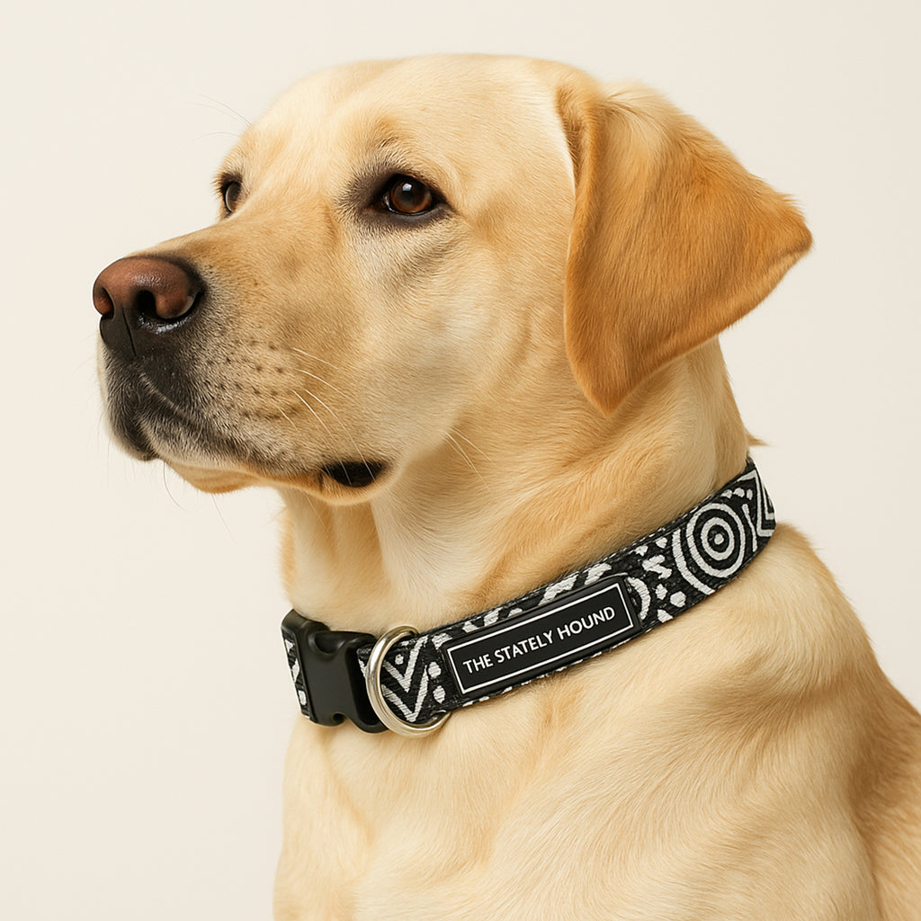 Adjustable Black & White Geometric Dog Collar - Water-Resistant & Durable