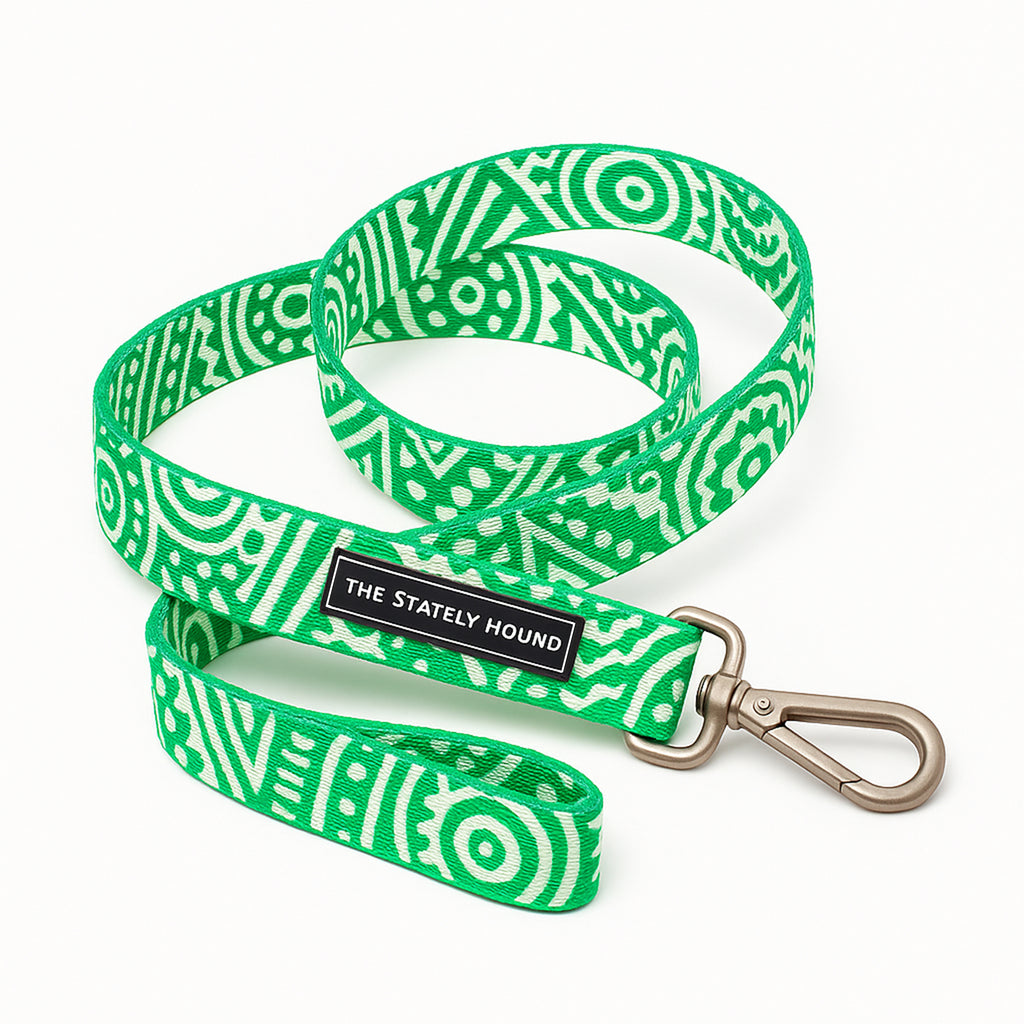 Geometric Print Dog Lead in Green & White