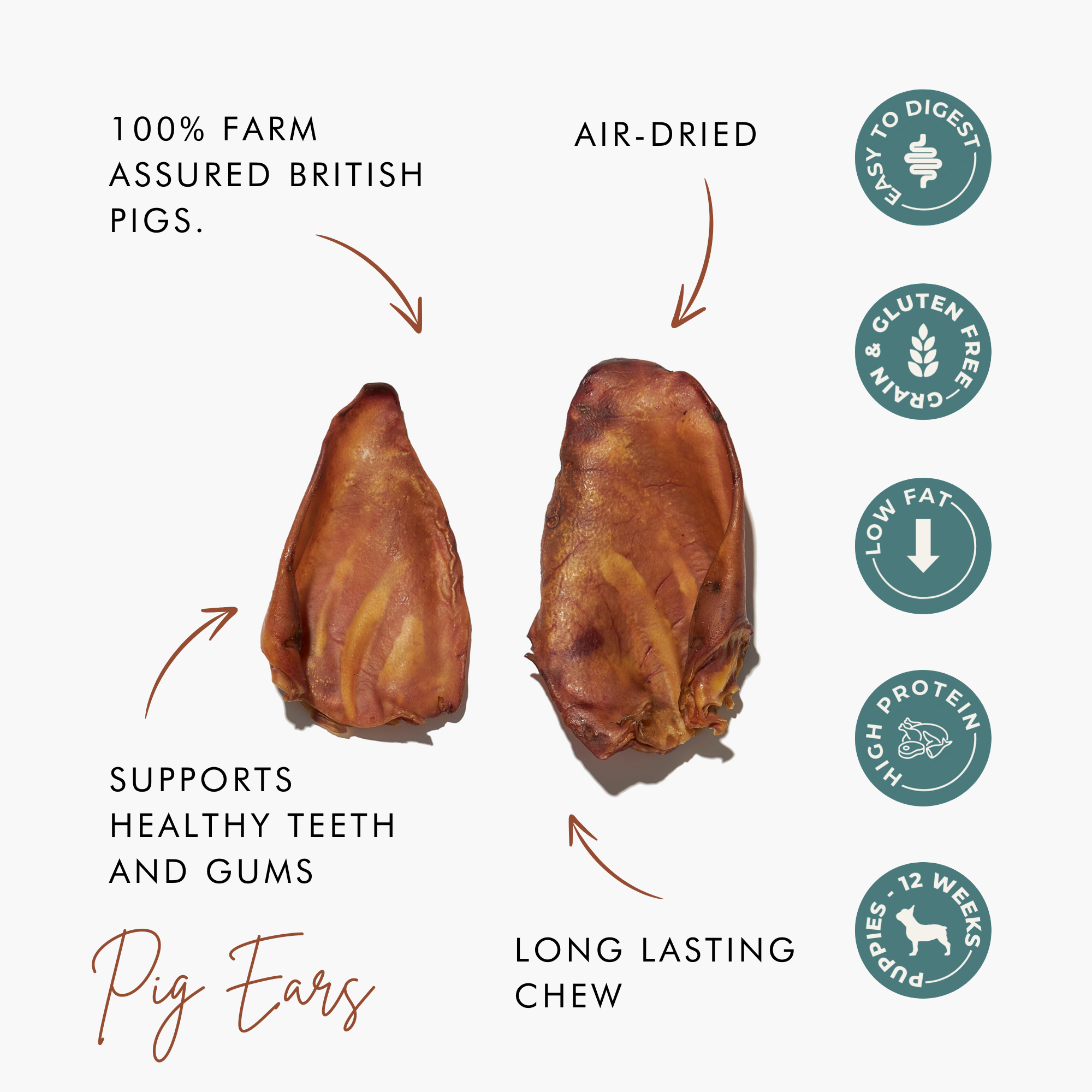 Air-Dried Pig Ears – Healthy Chews Dogs Love The Stately Hound