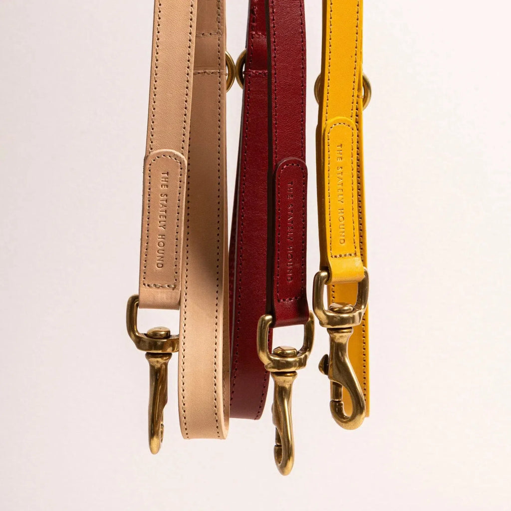 Amber Yellow Leather Dog Lead – Durable, Vibrant, and Stylish