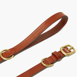 Autumn Maple Brown Leather Dog Collar – Premium Quality The Stately Hound