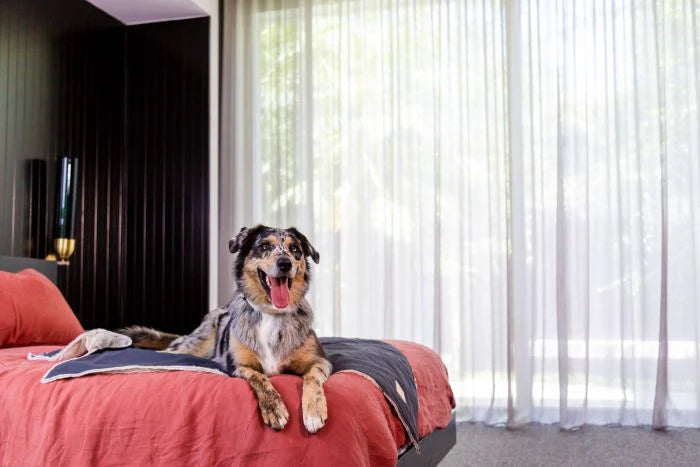 Reversible Comforter Dog Blanket | Slate Grey