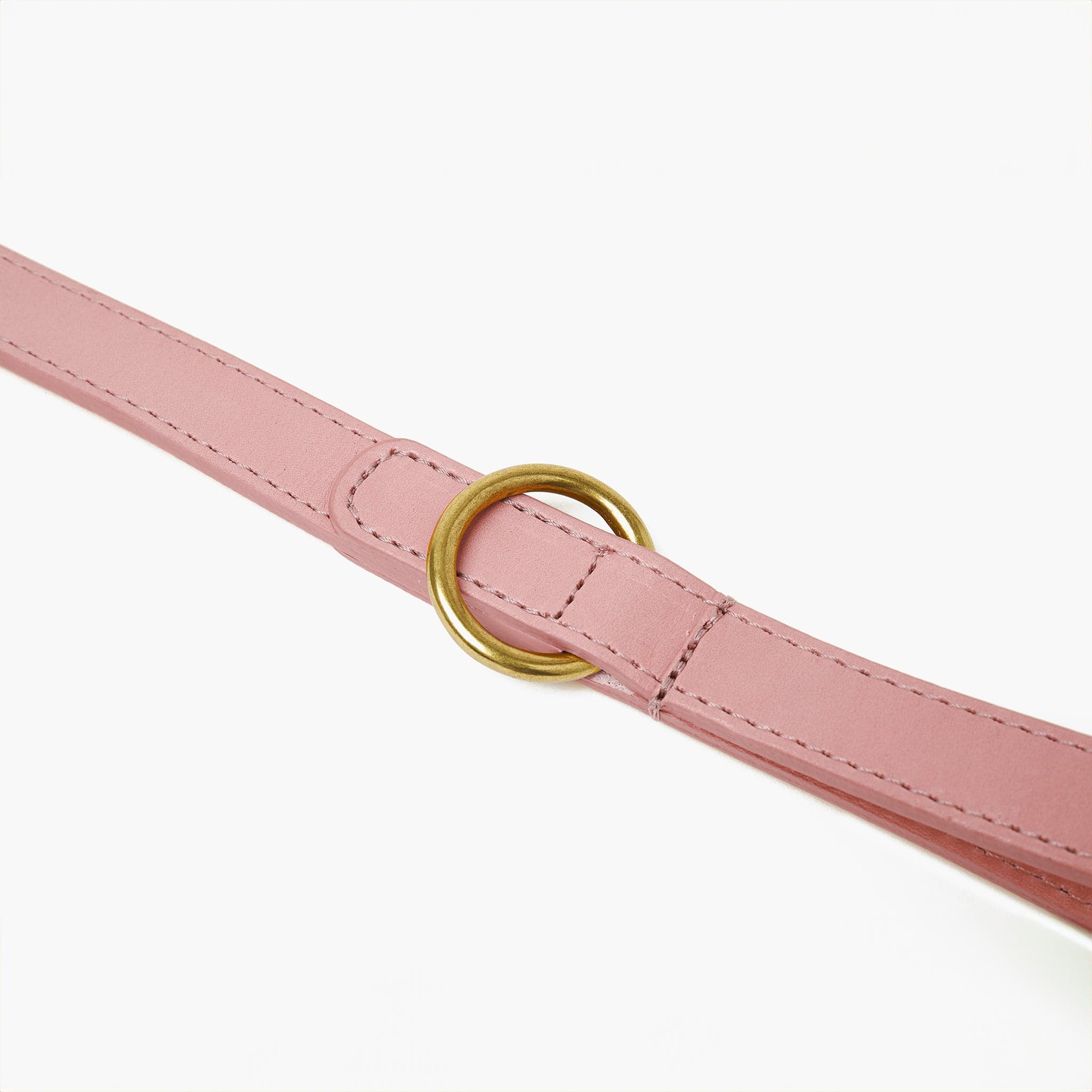 Baby Pink Leather Dog Collar & Lead Set with Gold Hardware The Stately Hound