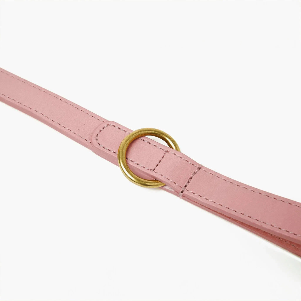 Baby Pink Leather Dog Lead with Gold Hardware