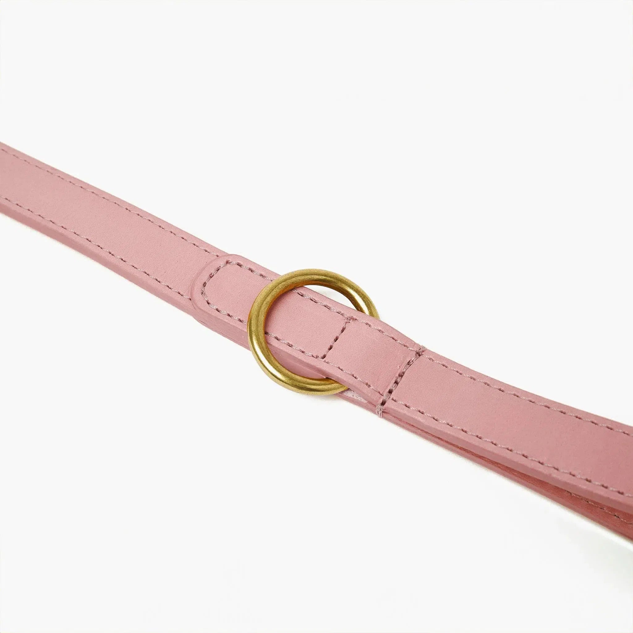 Baby Pink Leather Dog Lead with Gold Hardware