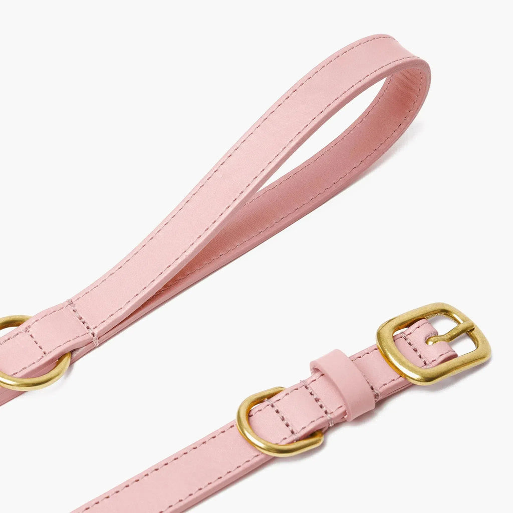 Baby Pink Leather Dog Lead with Gold Hardware