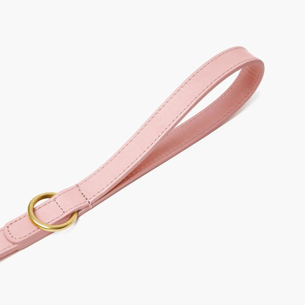 Baby Pink Leather Dog Lead with Gold Hardware