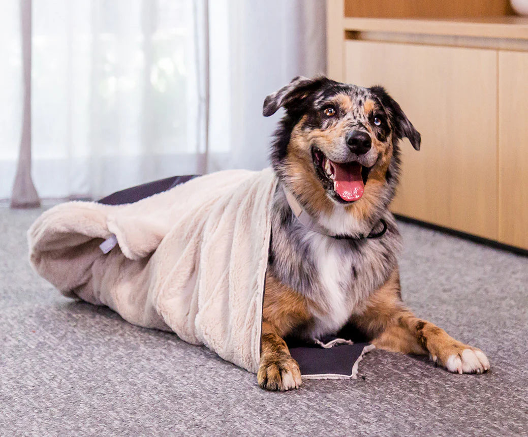 Reversible Comforter Pet Blanket | Sandstone