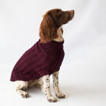 Burgundy Red Cable-Knit Dog Jumper | Warmth & Style for Your Pet The Stately Hound