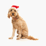 Christmas Santa Hat for Dogs | Festive & Comfortable Holiday Accessory The Stately Hound