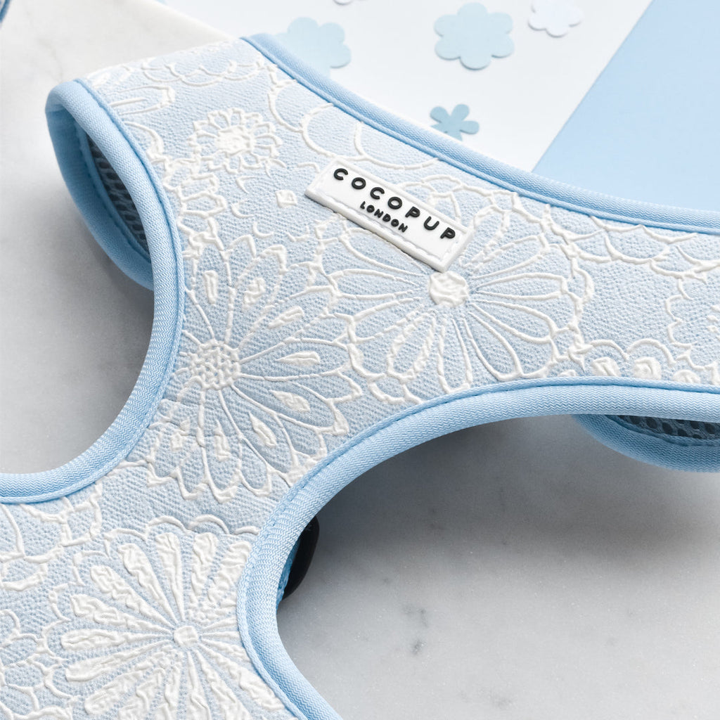 Cocopup Luxe Adjustable Dog Harness – Baby Blue Floral Design