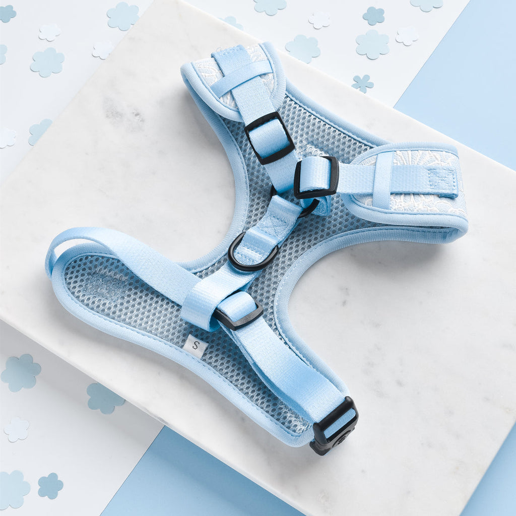 Cocopup Luxe Adjustable Dog Harness – Baby Blue Floral Design
