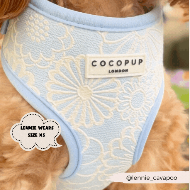 Cocopup Luxe Adjustable Dog Harness – Baby Blue Floral Design