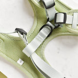 Cocopup Luxe Adjustable Dog Harness – Sage Green Heart Design The Stately Hound